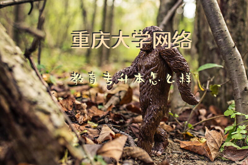 重庆大学网络教育专升本怎么样