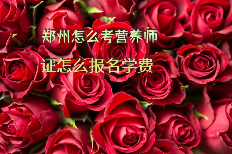 郑州怎么考营养师证怎么报名学费