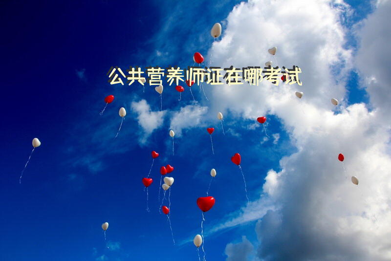 公共营养师证在哪考试