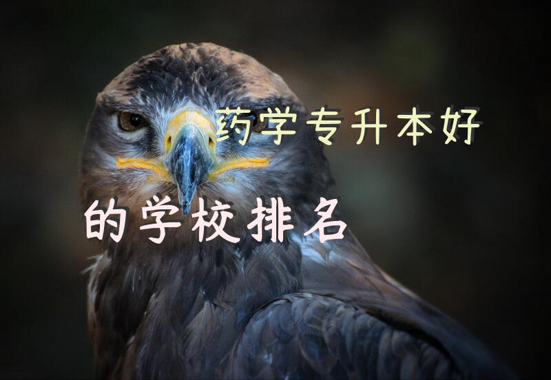 药学专升本好的学校排名
