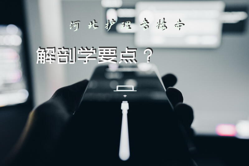 河北护理专接本解剖学要点？