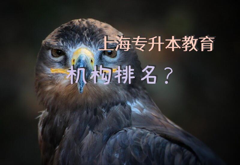 上海专升本教育机构排名？