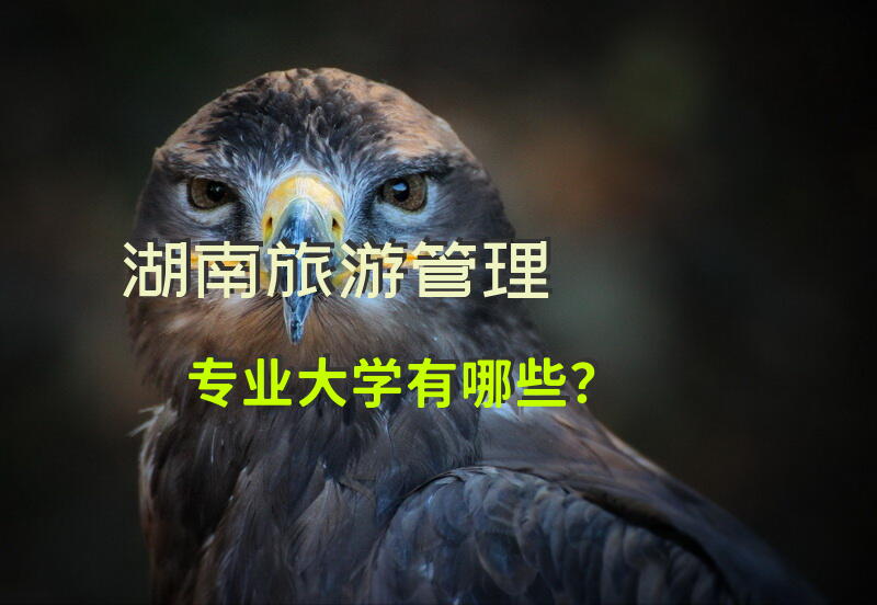 湖南旅游管理专业大学有哪些？