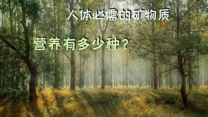 人体必需的矿物质营养有多少种？