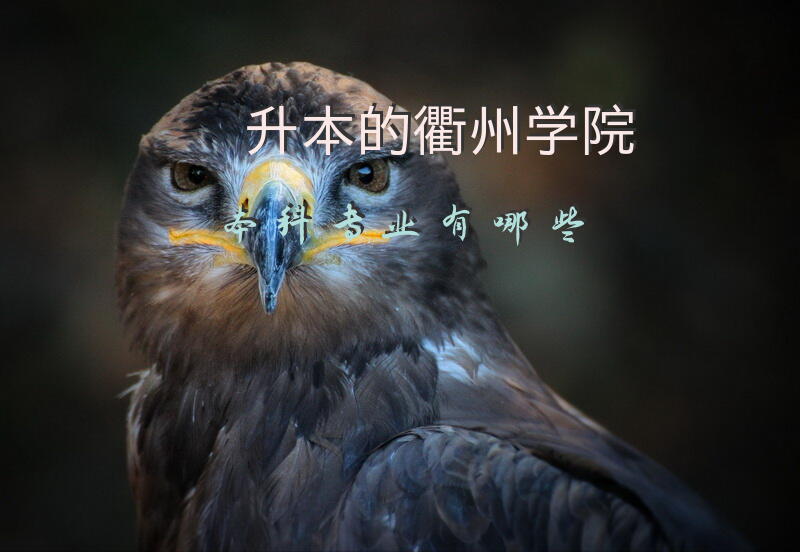 升本的衢州学院本科专业有哪些