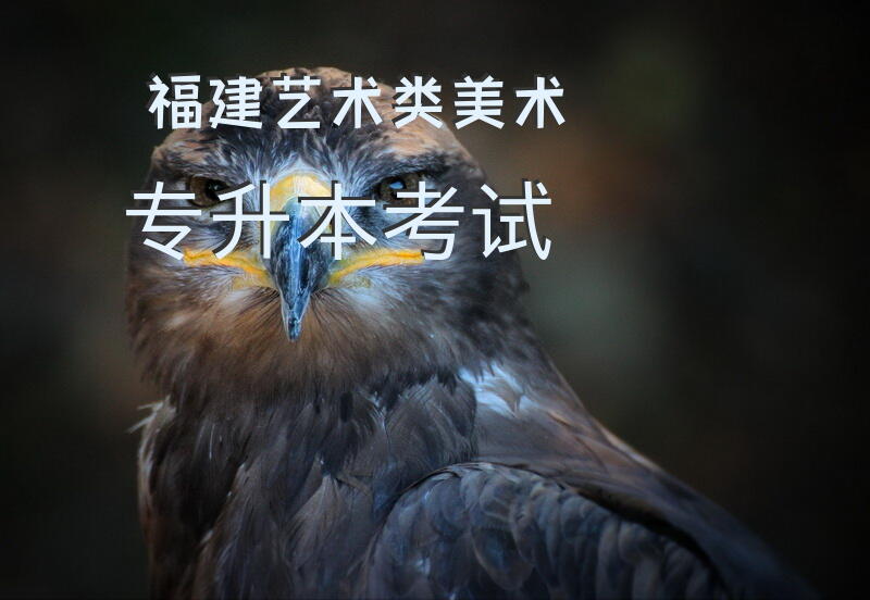 福建艺术类美术专升本考试