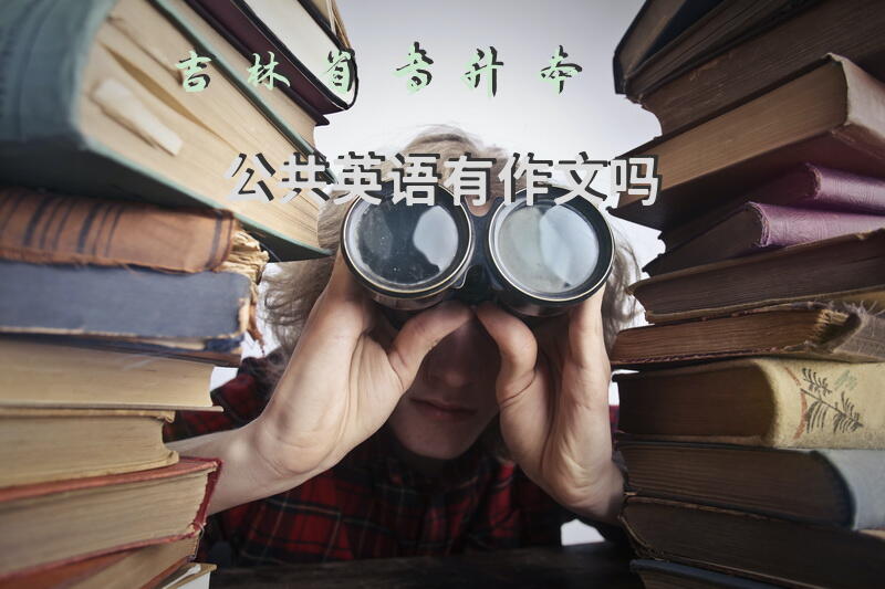 吉林省专升本公共英语有作文吗