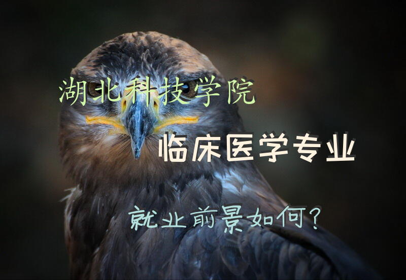 湖北科技学院临床医学专业就业前景如何？