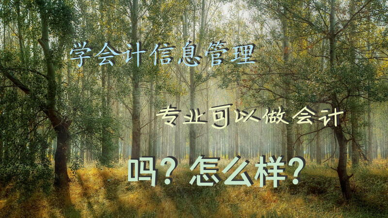 学会计信息管理专业可以做会计吗？怎么样？