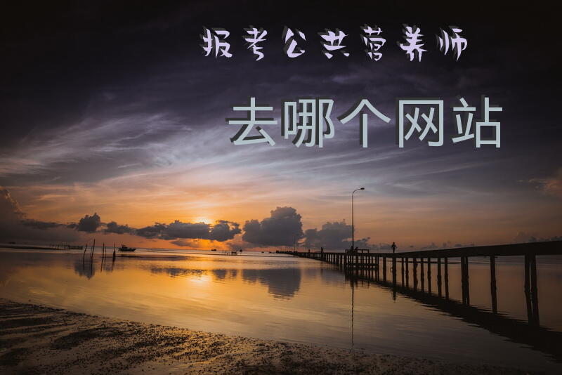 报考公共营养师去哪个网站