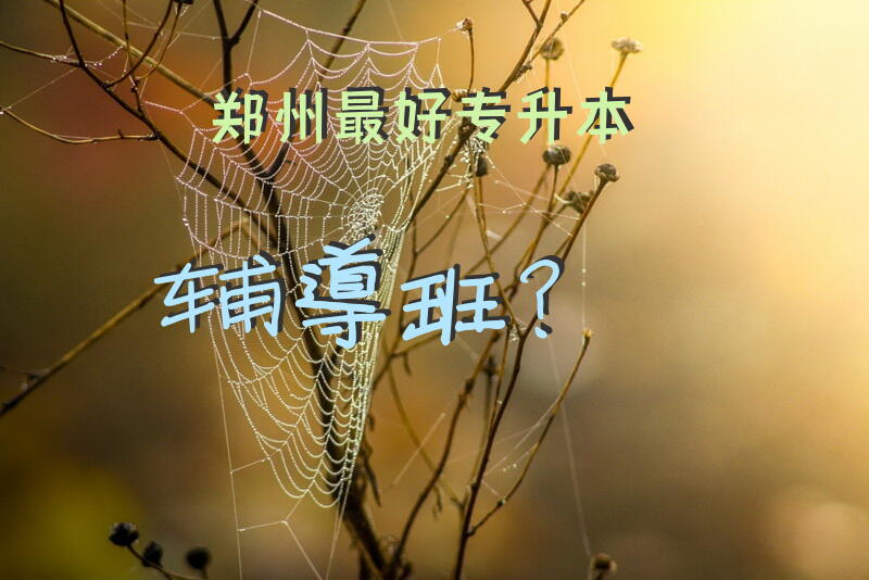 郑州最好专升本辅导班？