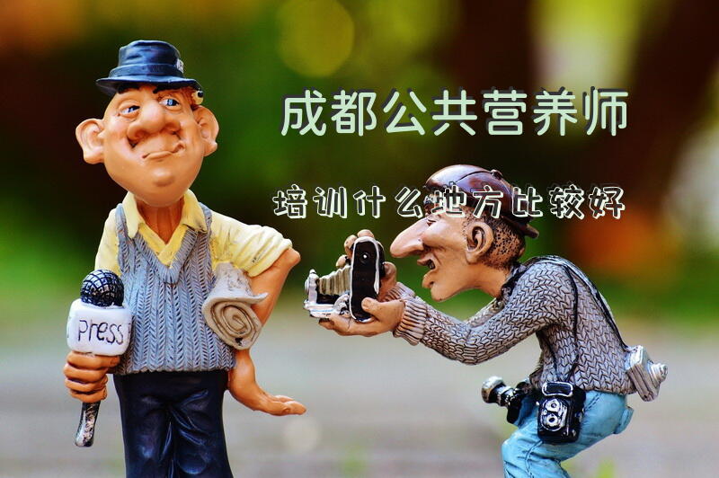 成都公共营养师培训什么地方比较好