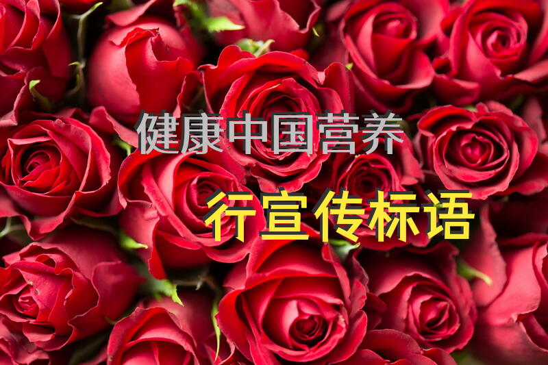 健康中国营养行宣传标语
