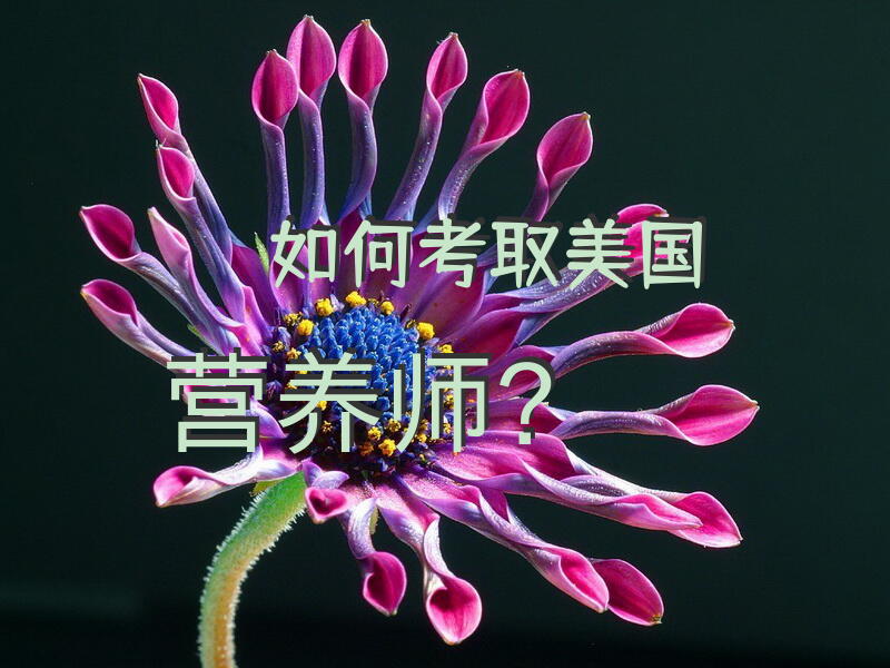 如何考取美国营养师？