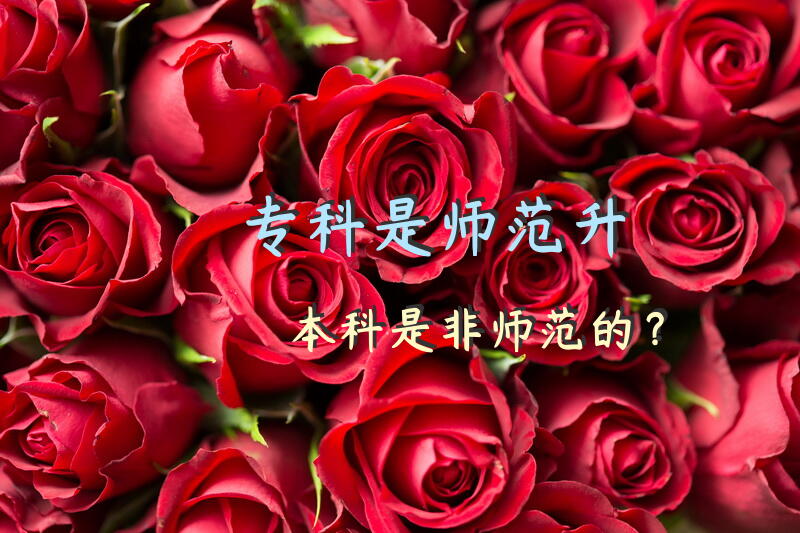 专科是师范升本科是非师范的？