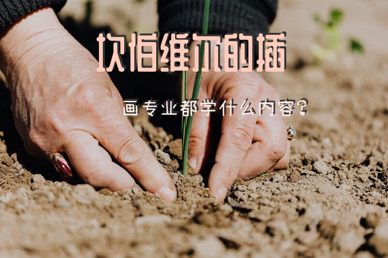 坎伯维尔的插画专业都学什么内容？