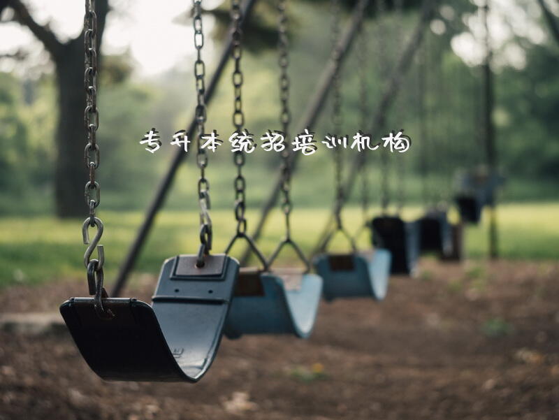 专升本统招培训机构