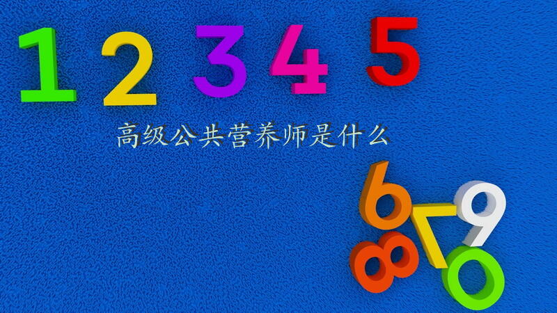 高级公共营养师是什么