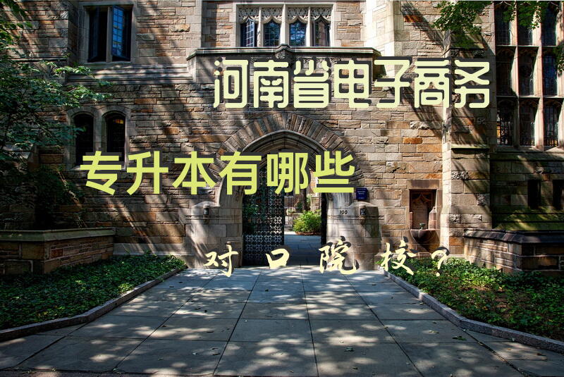 河南省电子商务专升本有哪些对口院校？