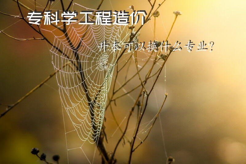 专科学工程造价升本可以换什么专业？