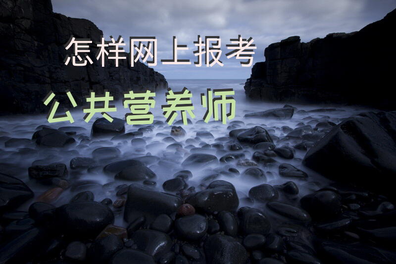 怎样网上报考公共营养师