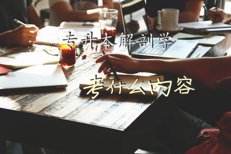 专升本解剖学考什么内容
