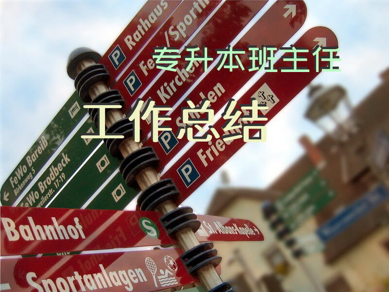 专升本班主任工作总结