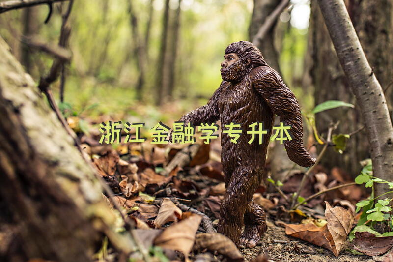 浙江金融学专升本