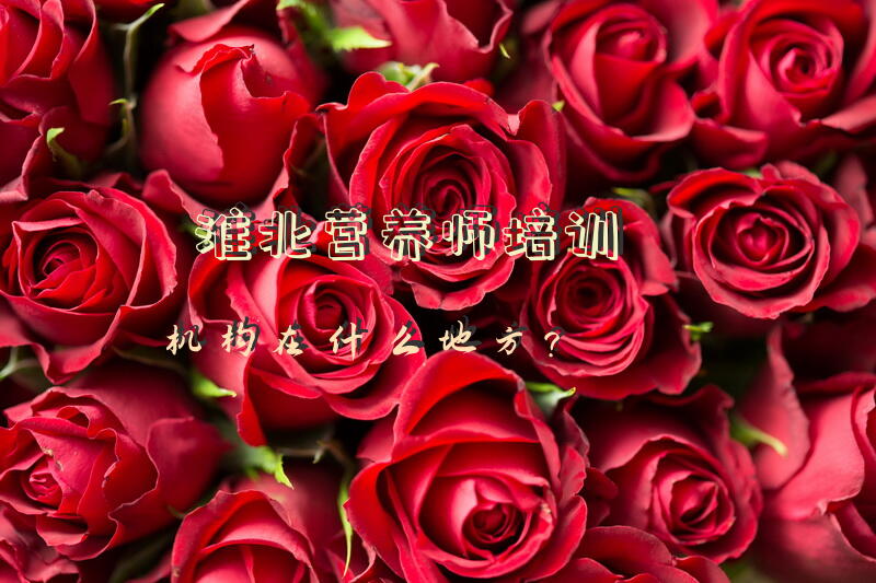 淮北营养师培训机构在什么地方？