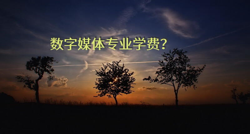 数字媒体专业学费？