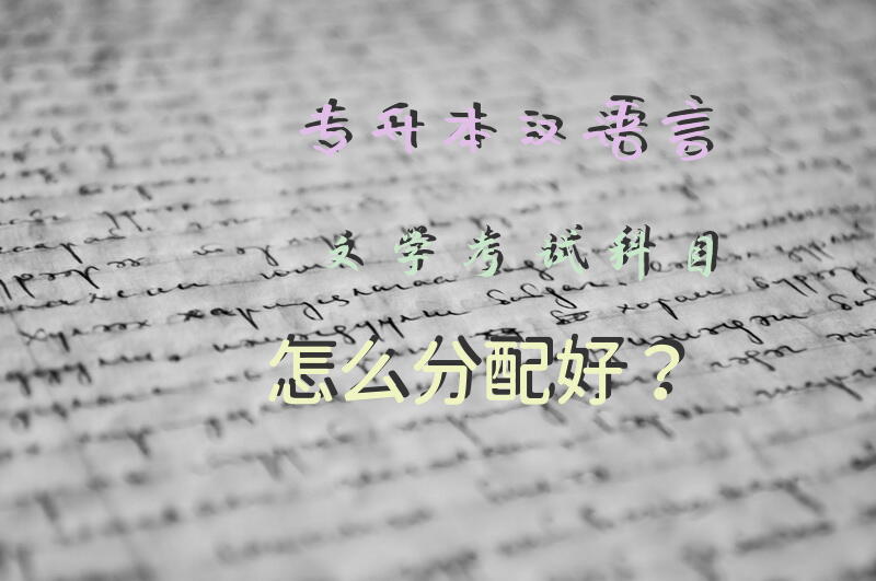 专升本汉语言文学考试科目怎么分配好？