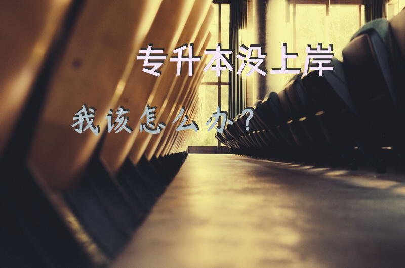 专升本没上岸，我该怎么办？