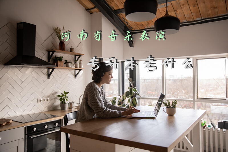 河南省音乐表演专升本考什么