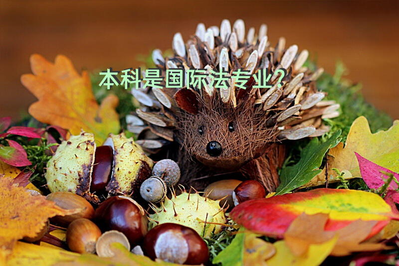 本科是国际法专业？