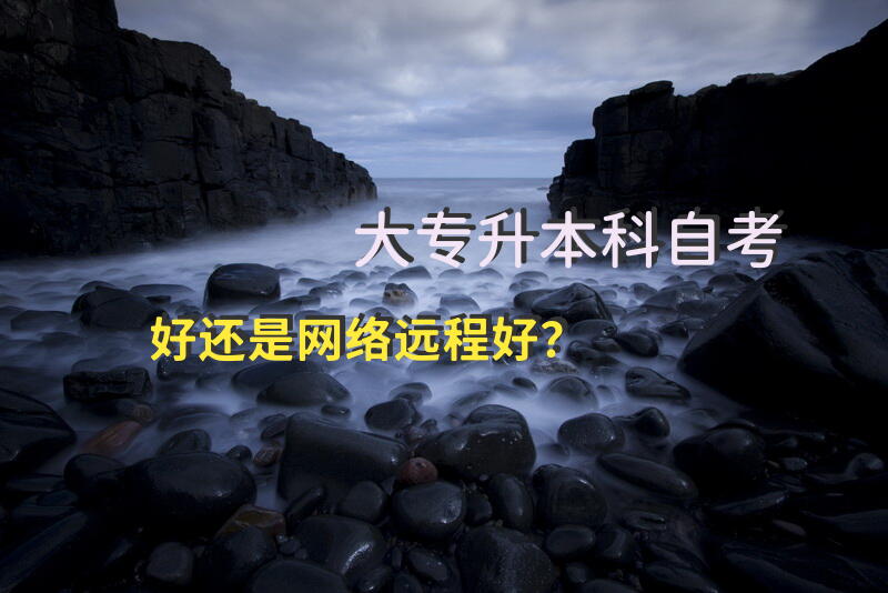 大专升本科，自考好还是网络远程好？