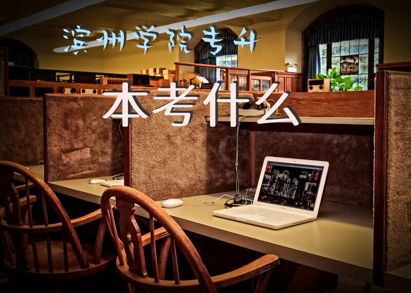 滨州学院专升本考什么