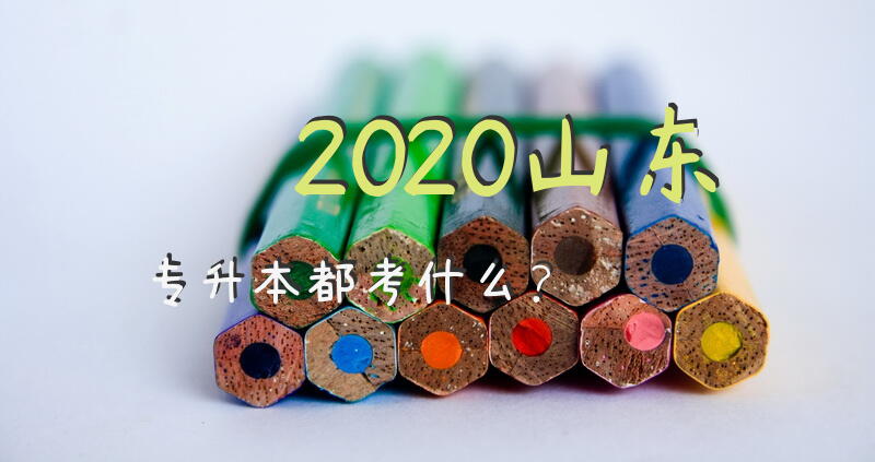 2020山东专升本都考什么？