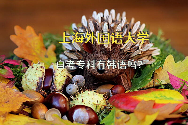 上海外国语大学自考专科有韩语吗？