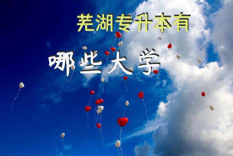 芜湖专升本有哪些大学