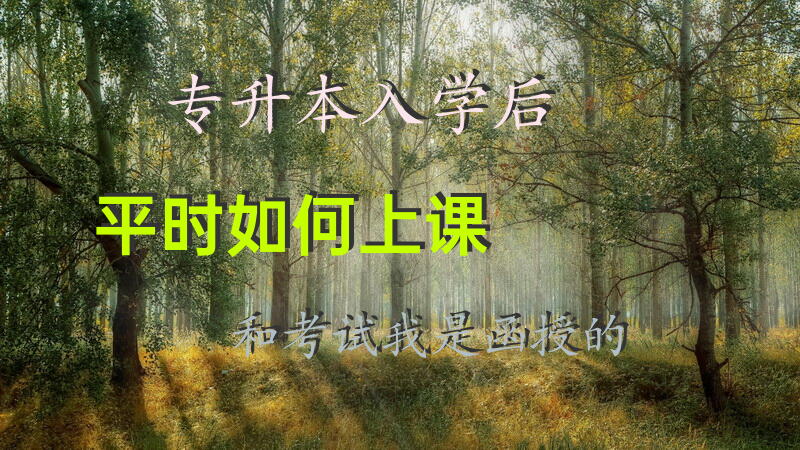 专升本入学后平时如何上课和考试，我是函授的