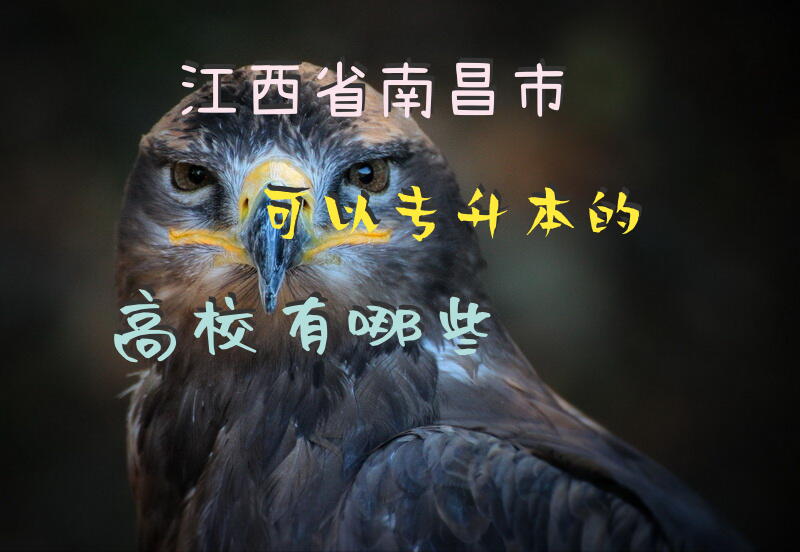 江西省南昌市可以专升本的高校有哪些