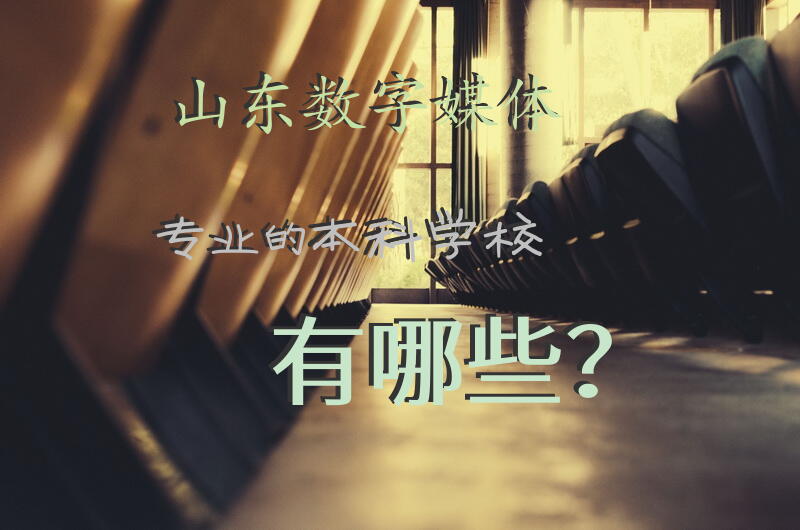 山东数字媒体专业的本科学校有哪些？