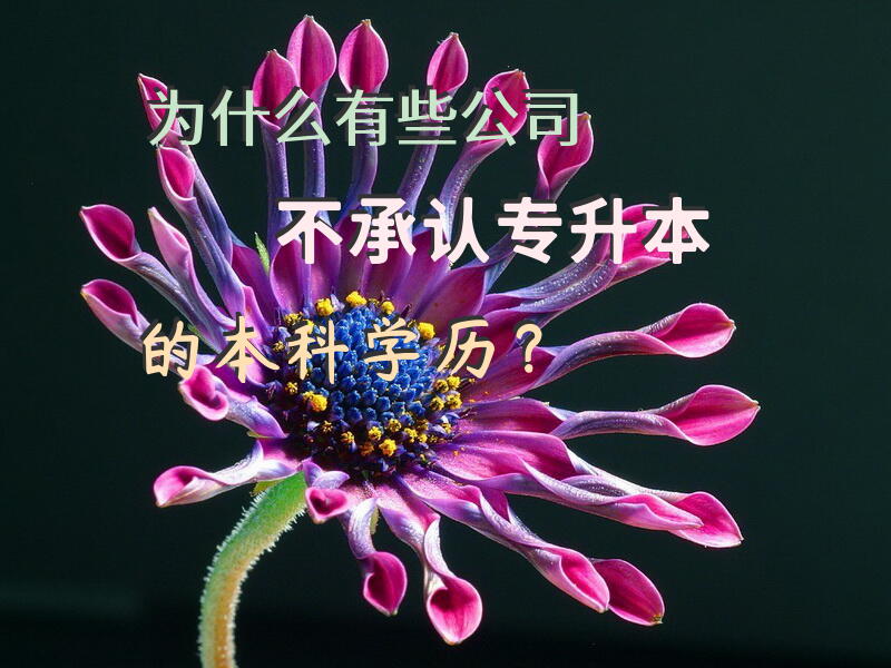 为什么有些公司不承认专升本的本科学历？