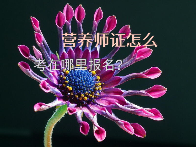 营养师证怎么考，在哪里报名？