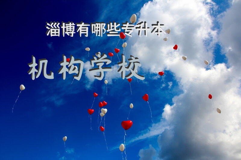 淄博有哪些专升本机构学校