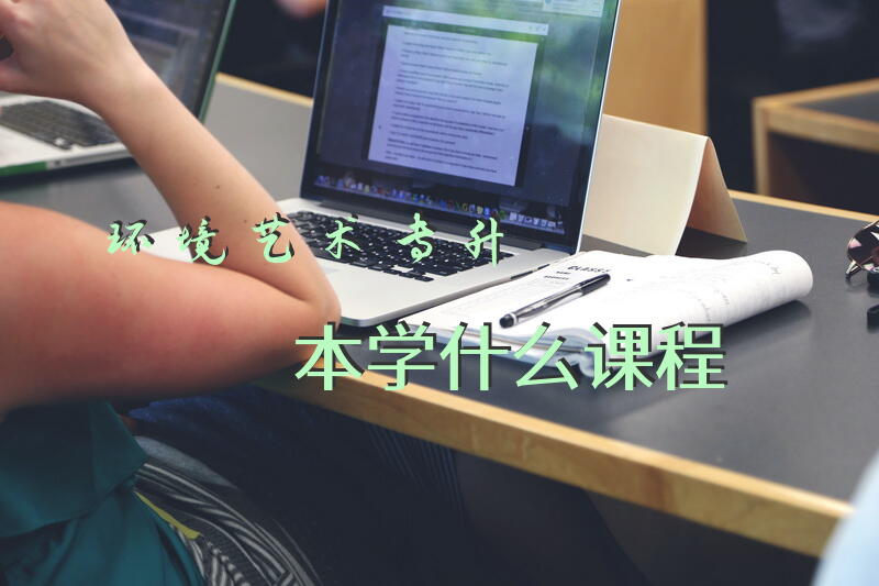 环境艺术专升本学什么课程