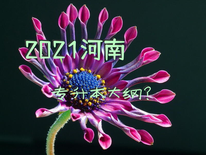 2021河南专升本大纲？