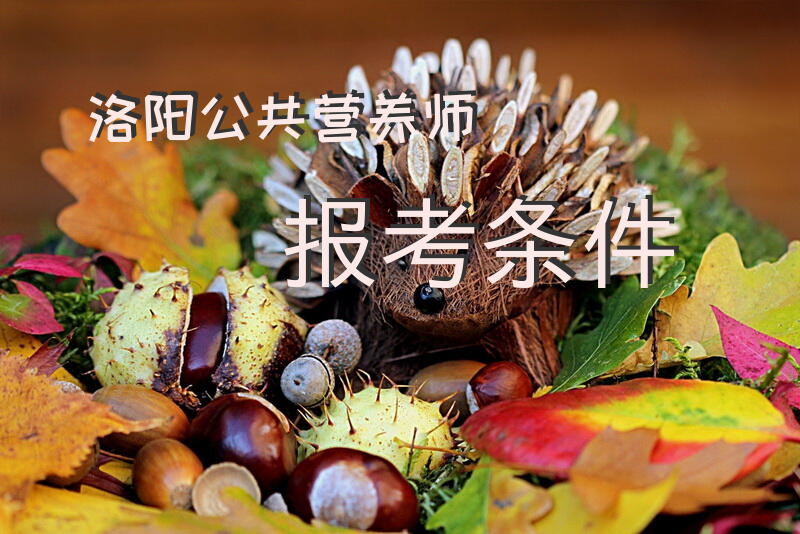 洛阳公共营养师报考条件