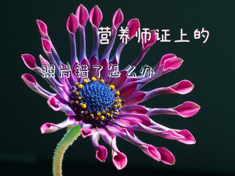 营养师证上的照片错了怎么办