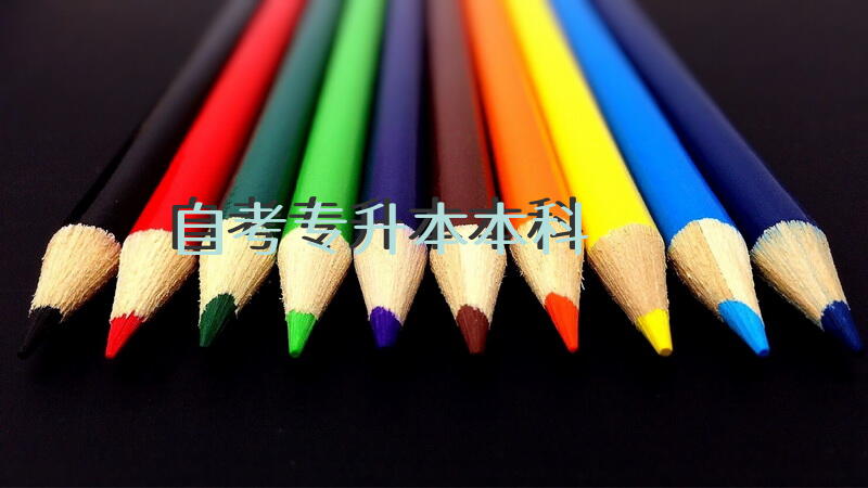 自考专升本本科